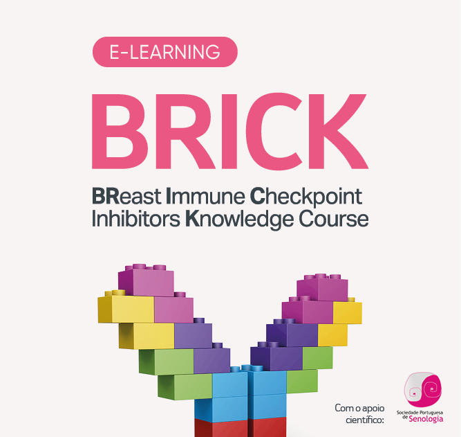 e-learning BRICK